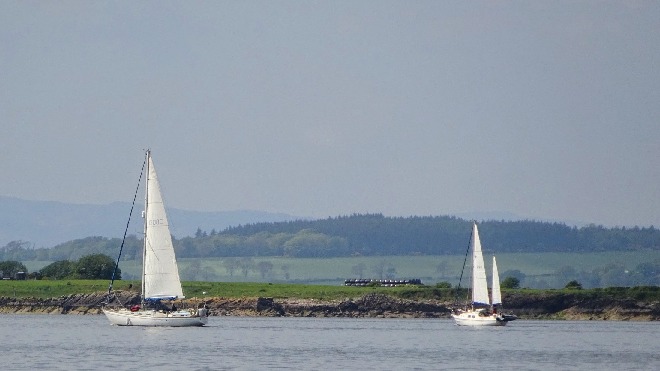 Sailboats Off Cumbrae